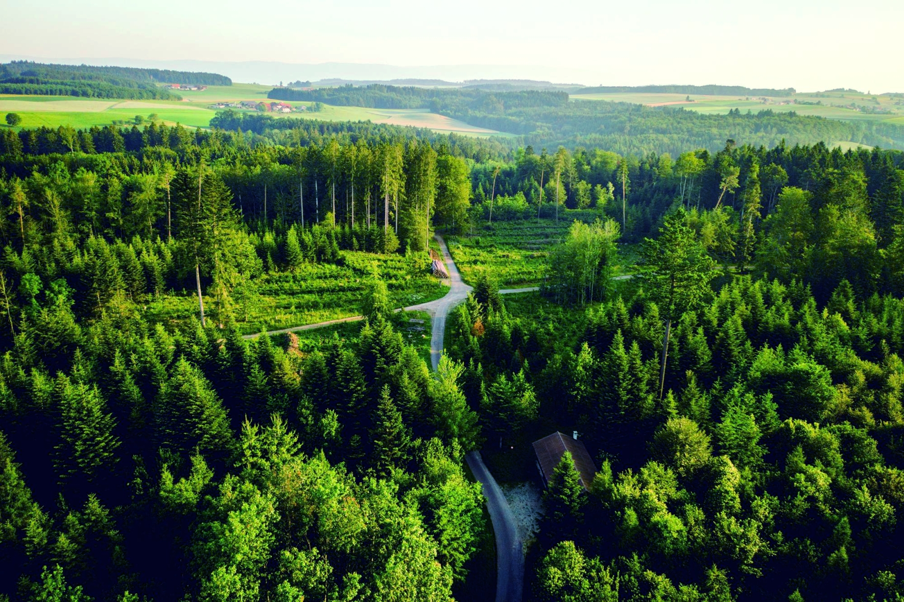 Moudon campagne