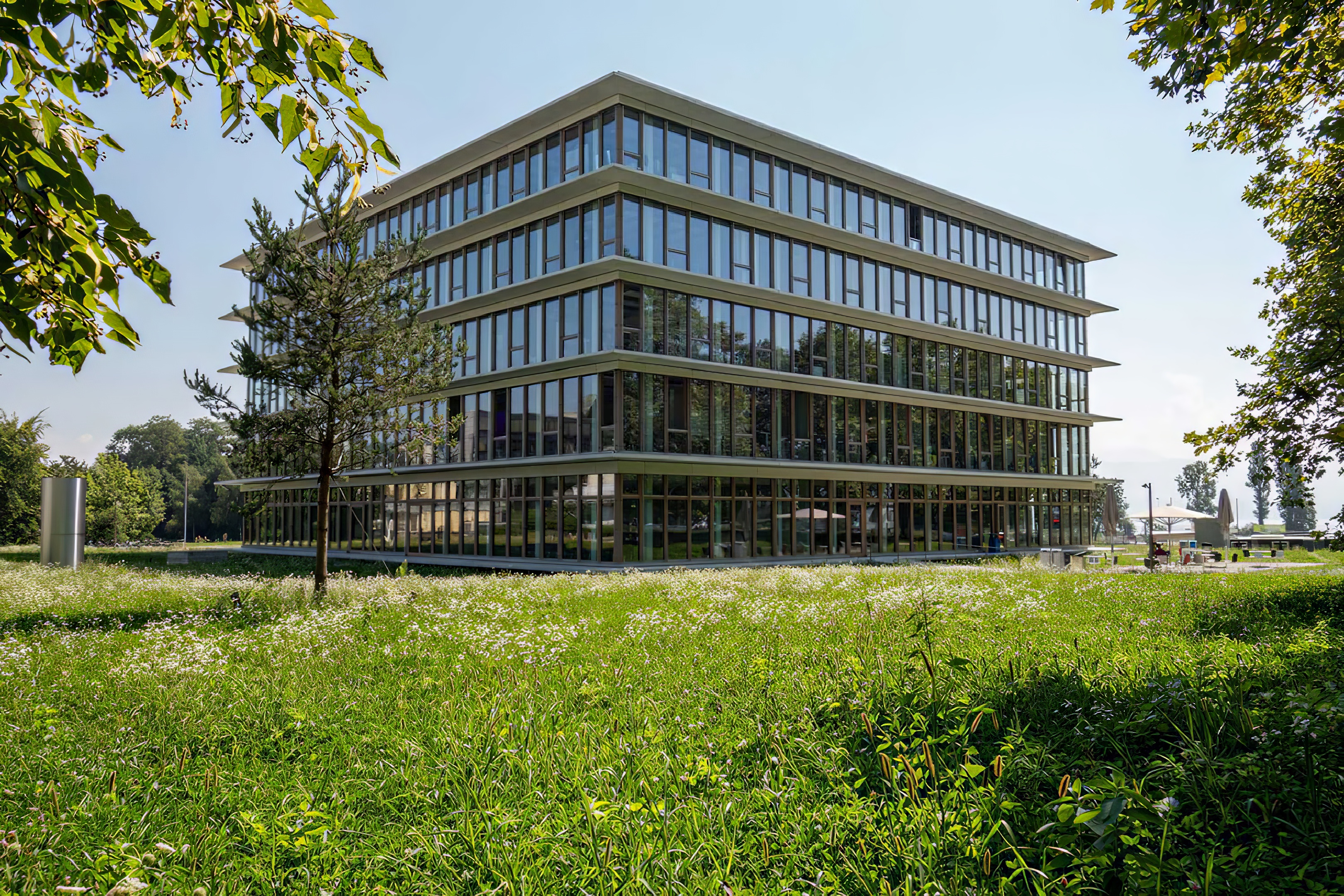synathlon-veralugroupe-veralubois-vue