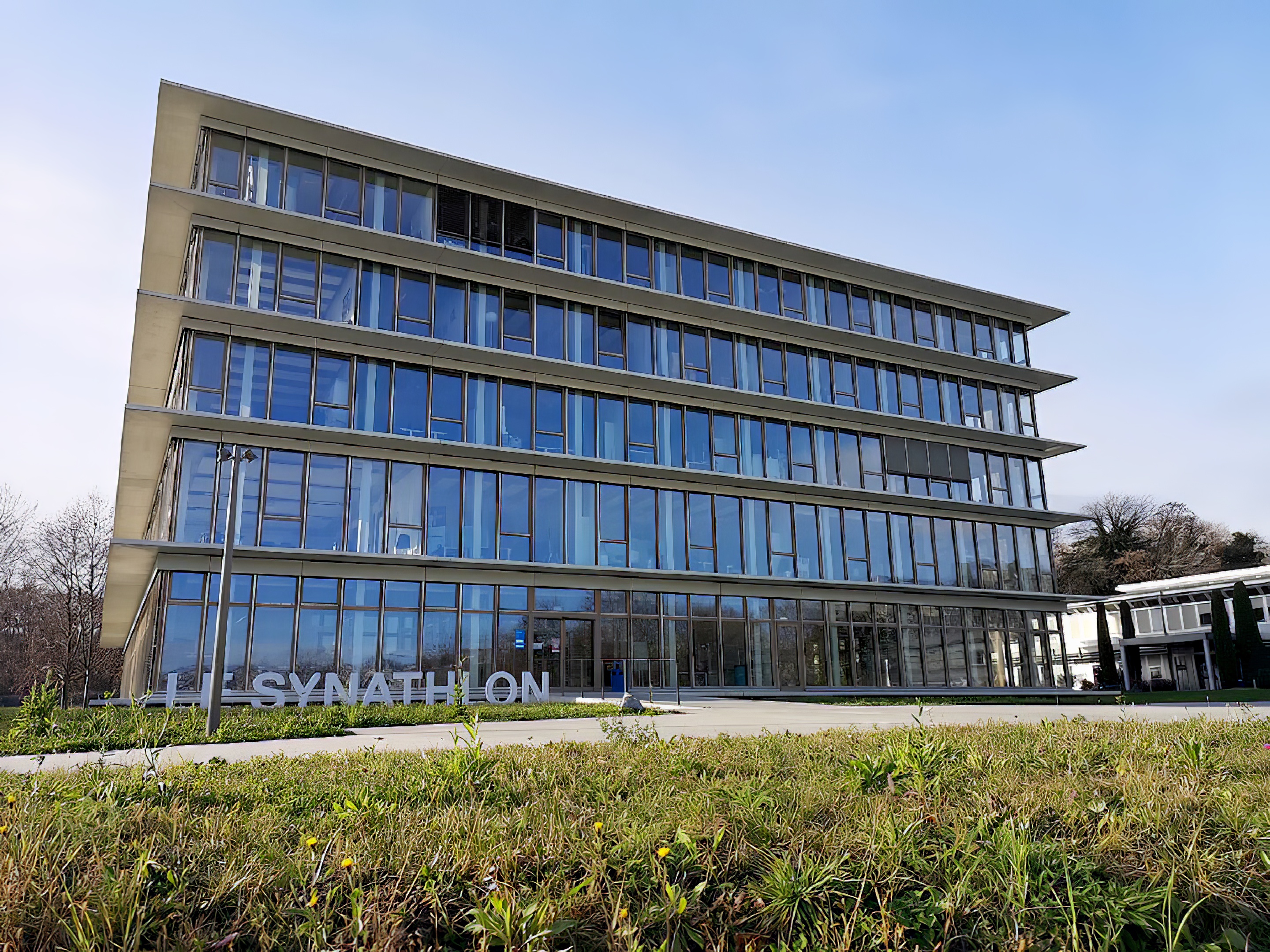 synathlon-veralugroupe-veralubois-vue