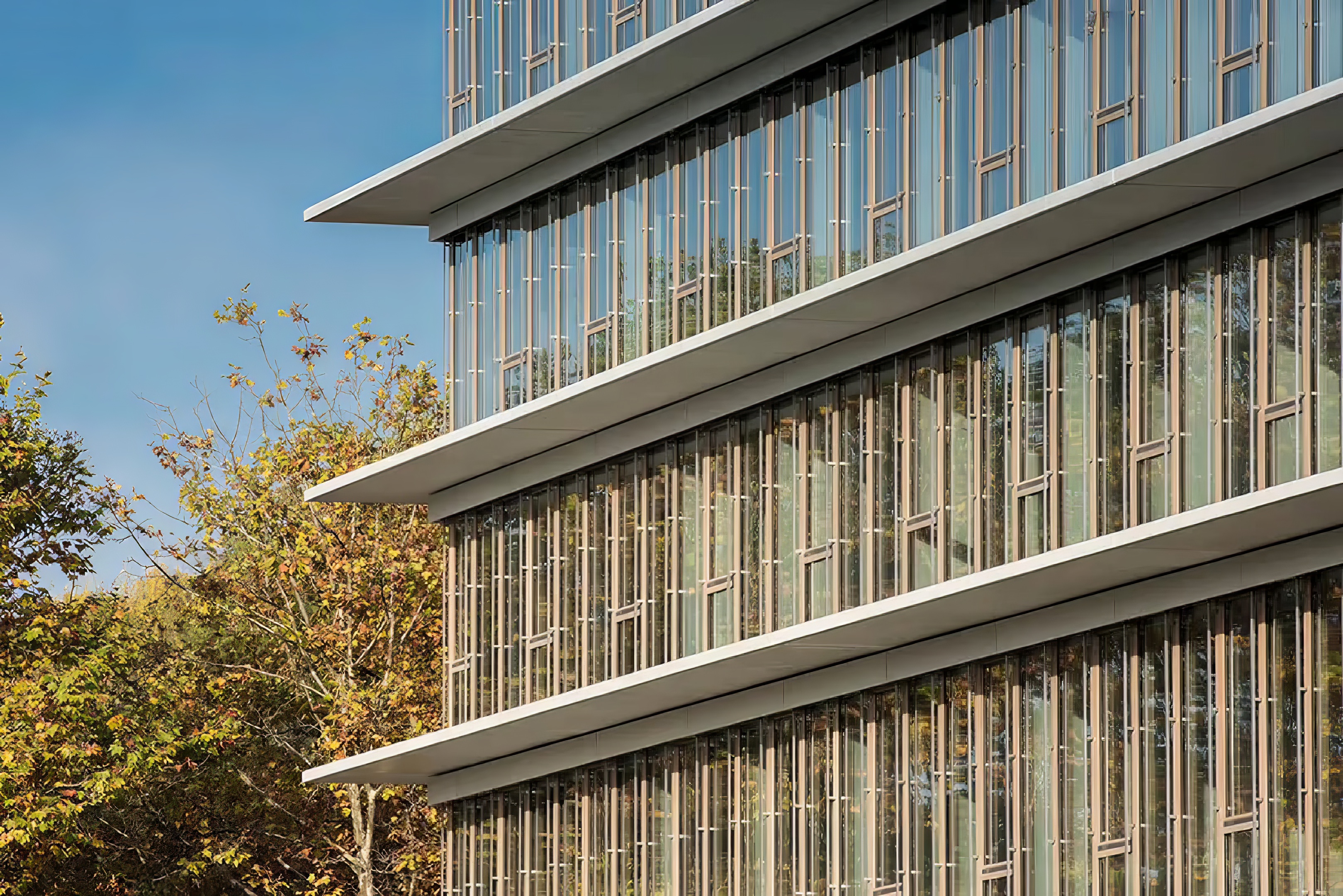 synathlon-veralugroupe-veralubois-vue détail